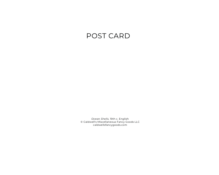 Plain white postcard with 'POST CARD' text and copyright notice for Caldwell’s Miscellaneous Fancy Goods