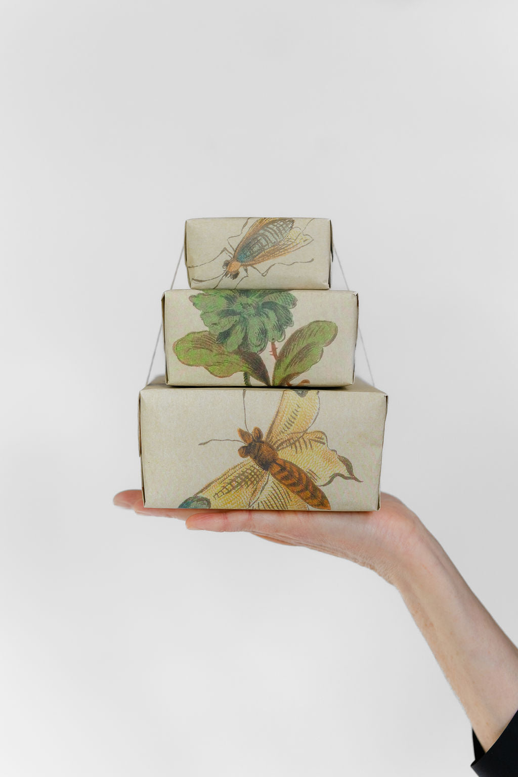 Botanical Buzz - Wrapping Paper