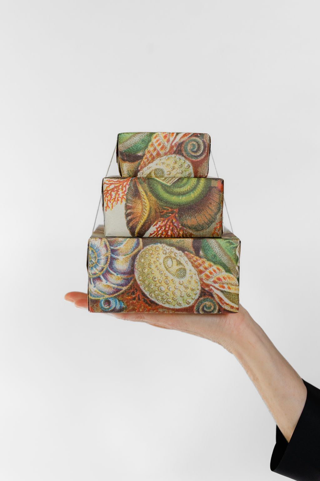 She Sells Seashells - Wrapping Paper