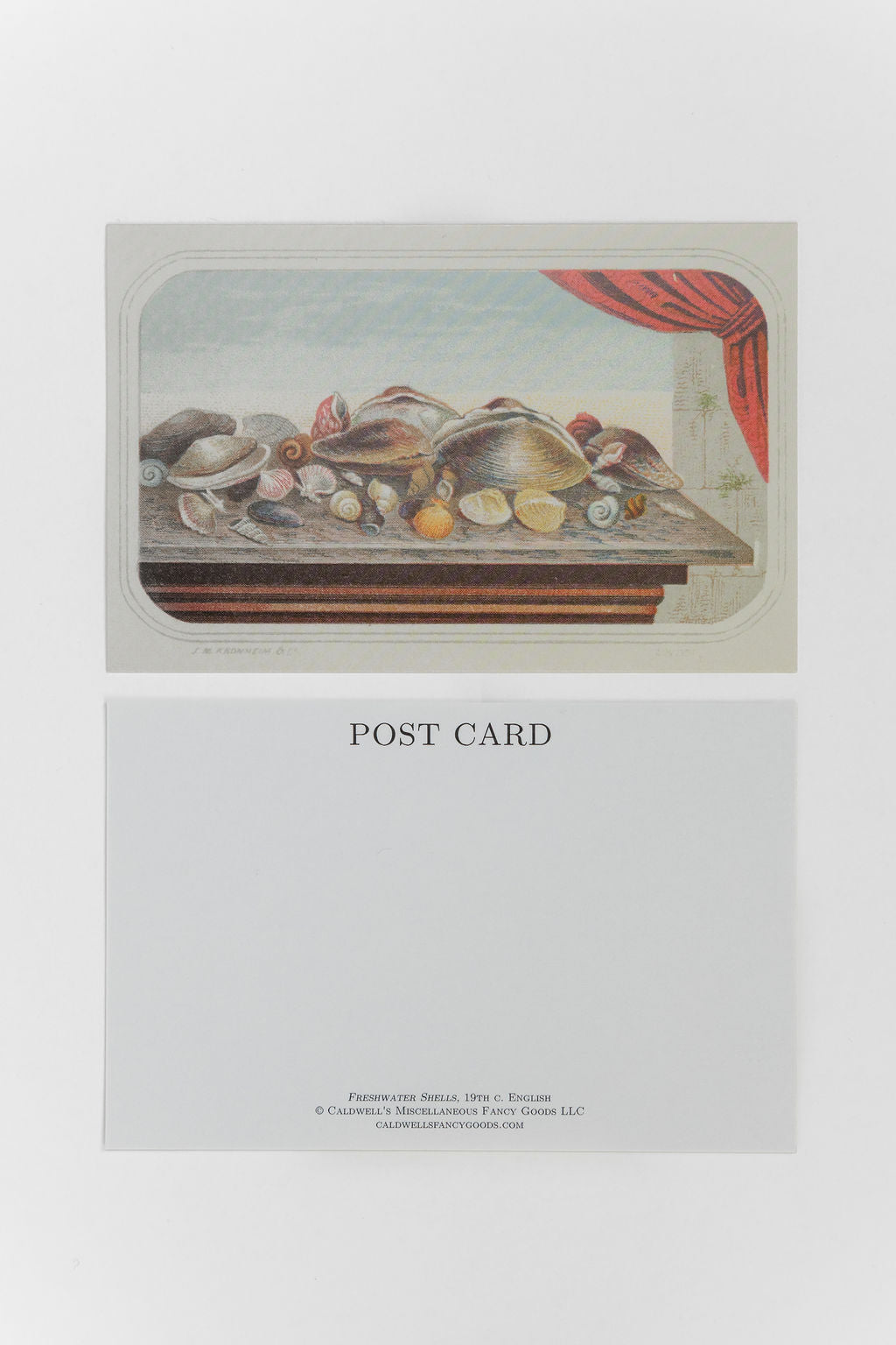 She Sells Seashells - Postcards