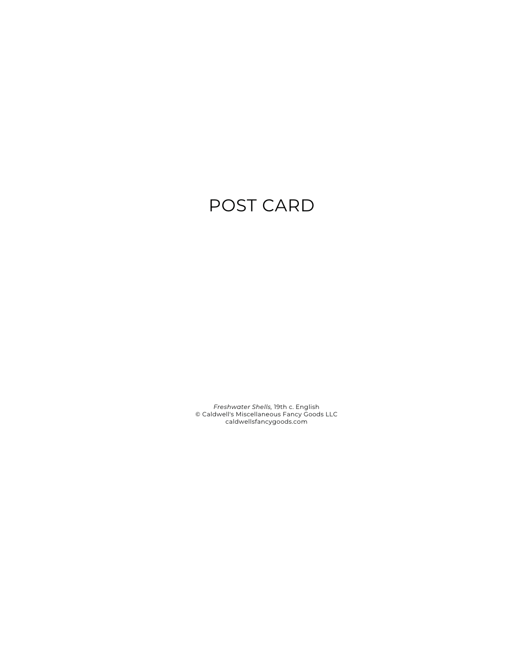 Plain white postcard with 'POST CARD' text and copyright notice for Caldwell’s Miscellaneous Fancy Goods