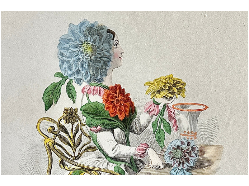 Pick Your Flowers, No Garden Required