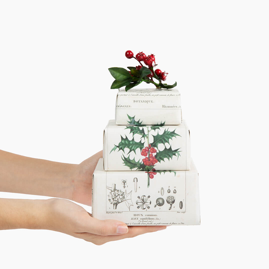 Holly Sprig