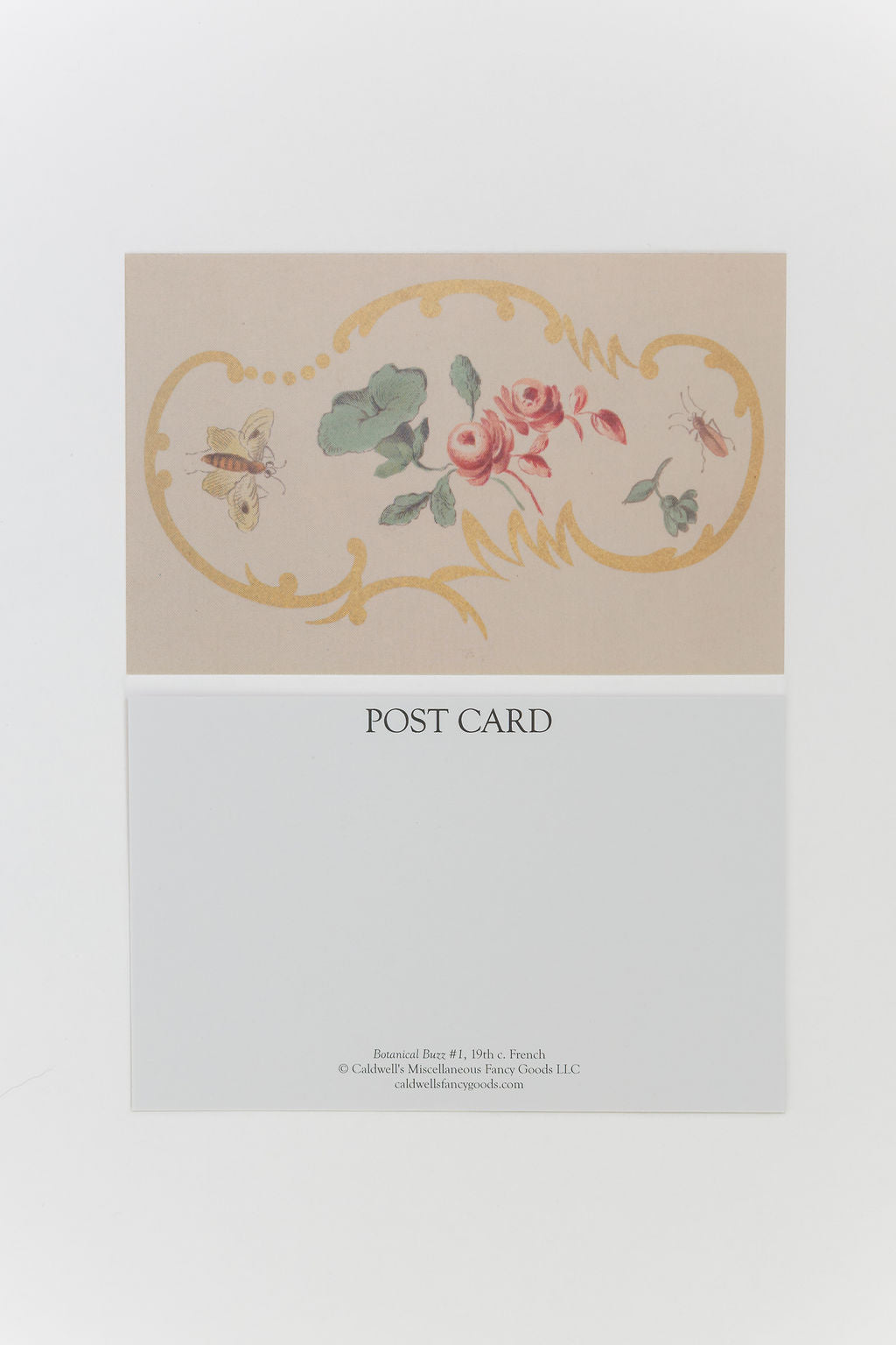 Botanical Buzz - Postcards