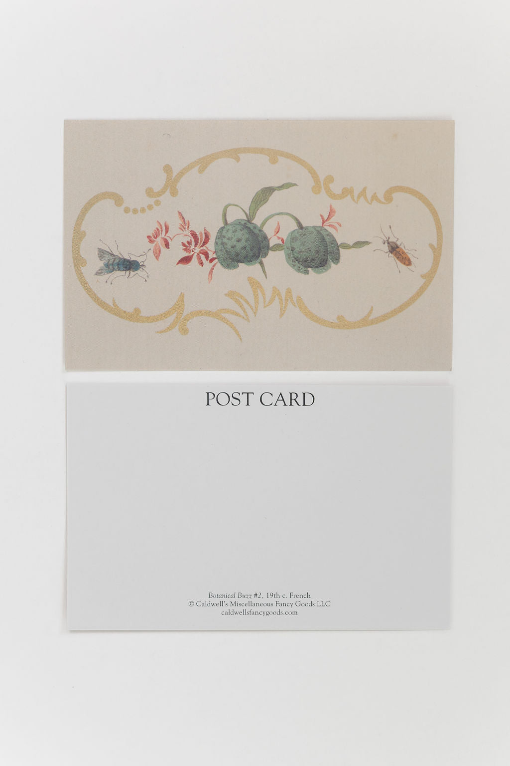 Botanical Buzz - Postcards