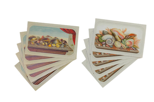Set of vintage-style cards with illustrations of seashells on a white background