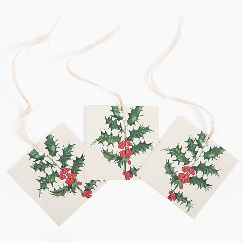 Hand colored engravings paper
French wallpaper
Holly leaves and berries