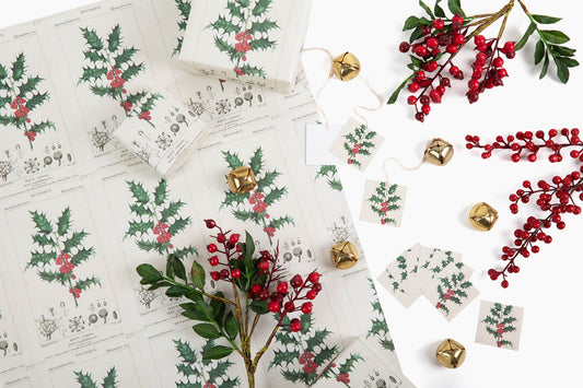 holly sprig gift wrapping paper french art and science botanical gift wrap