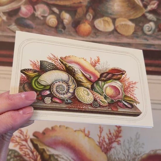 Video of Caldwell’s postcards with seashells
